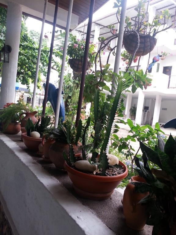 מלגאר Hotel Villa Maritza מראה חיצוני תמונה